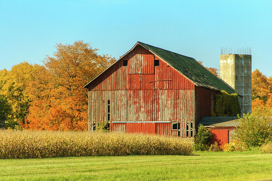 Red barn beside a cornfield in rural Ohio during autumn